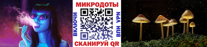 Галлюциногенные грибы Cubensis  Назрань 