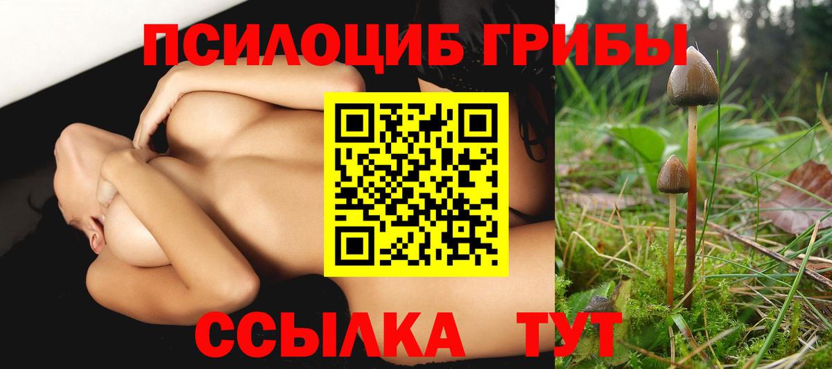 Назрань  Галлюциногенные грибы мухоморы  Псилоцибиновые грибы прущие грибы  Вход с VPN 